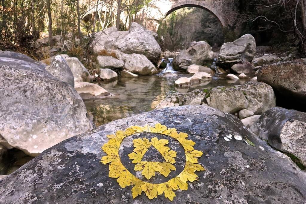 Pont De Valenti Mountain Retreat Apartment Girona Luaran gambar
